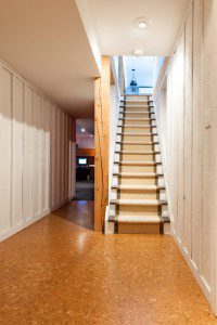 Basement Renovations