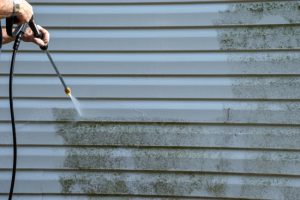 Do You Need Pressure Washing Services?